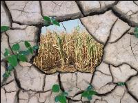 Klimawandel 8