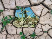 Klimawandel 4