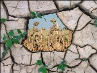 Klimawandel 3