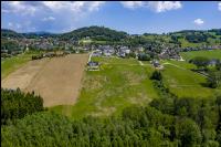 Sichtbare Engerlingsschäden 4