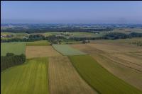 Alpenvorland Hochsommer 5