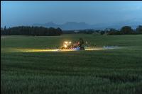 WW Fungizid Abendstunden 11