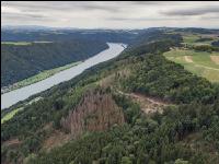 Flächen mit Käferbefall 6
