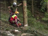 Forstarbeiter Schadholz 6