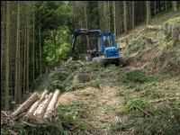 Forwarder Käferholz 33