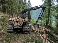 Forwarder Käferholz 32