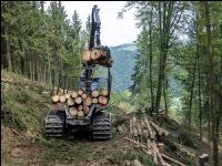Forwarder Käferholz 31