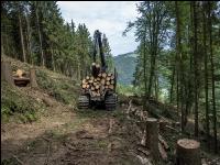 Forwarder Käferholz 29