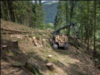 Forwarder Käferholz 28