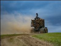 Forwarder Käferholz 23