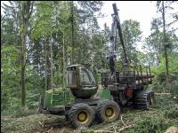 Forwarder Käferholz 22