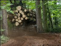 Forwarder Käferholz 19