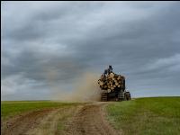 Forwarder Käferholz 18