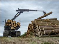 Forwarder Käferholz 15