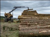 Forwarder Käferholz 14