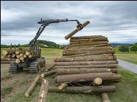Forwarder Käferholz 13