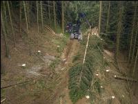Harvester Käferholz 42