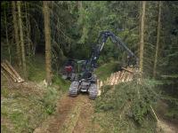 Harvester Käferholz 41