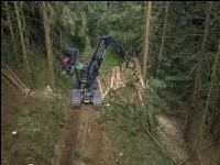 Harvester Käferholz 38