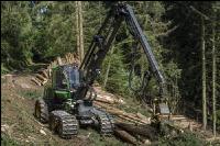 Harvester Käferholz 25