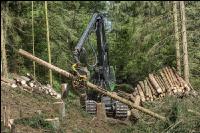 Harvester Käferholz 23