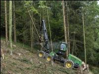 Harvester Käferholz 19