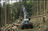 Harvester Käferholz 17