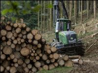 Harvester Käferholz 16