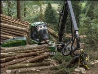 Harvester Käferholz 13