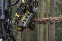 Harvester Käferholz 7