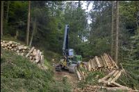 Harvester Käferholz 5