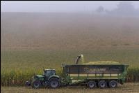 Mais häckseln im Nebel 34