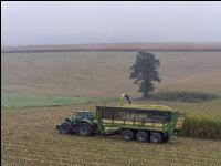 Mais häckseln im Nebel 33
