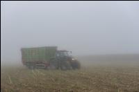 Mais häckseln im Nebel 28