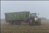 Mais häckseln im Nebel 26