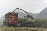 Mais häckseln im Nebel 14