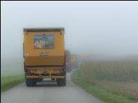Mais häckseln im Nebel 10