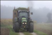 Mais häckseln im Nebel 6