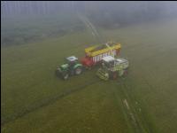 Gras häckseln im Nebel 4