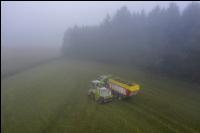 Gras häckseln im Nebel 3
