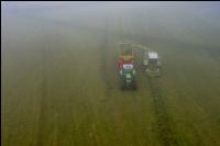 Gras häckseln im Nebel 2