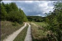 Feldweg 15