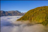 Mischwald im Nebel 5