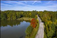 Teich, Wald, Straße 