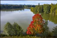 Karpfenteich 2