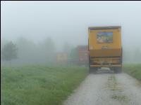 Mais häckseln im Nebel 7