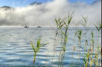 Sun and fog on a lake