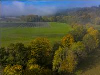 Herbstlandschaft 12