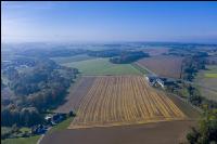 Herbstlandschaft 13