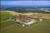 Bauernhof und Stiermaststall